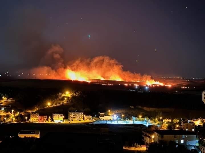 Diyarbakır’da çıkan anız yangını söndürüldü
