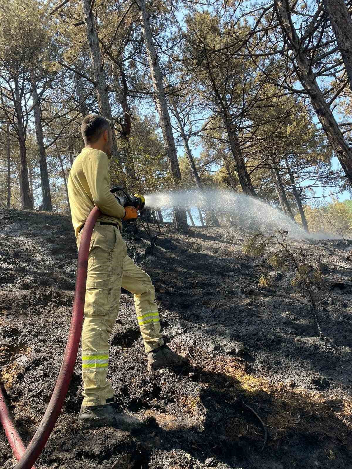 Karabük’te orman yangınında 7 hektar alan zarar gördü
