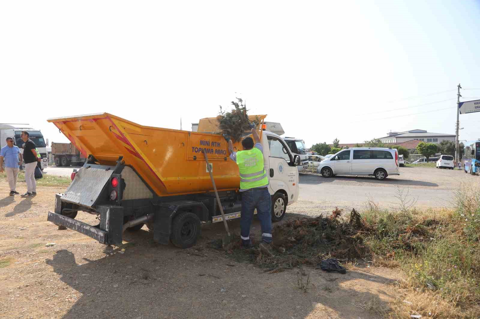 Darıca yaz temizliği
