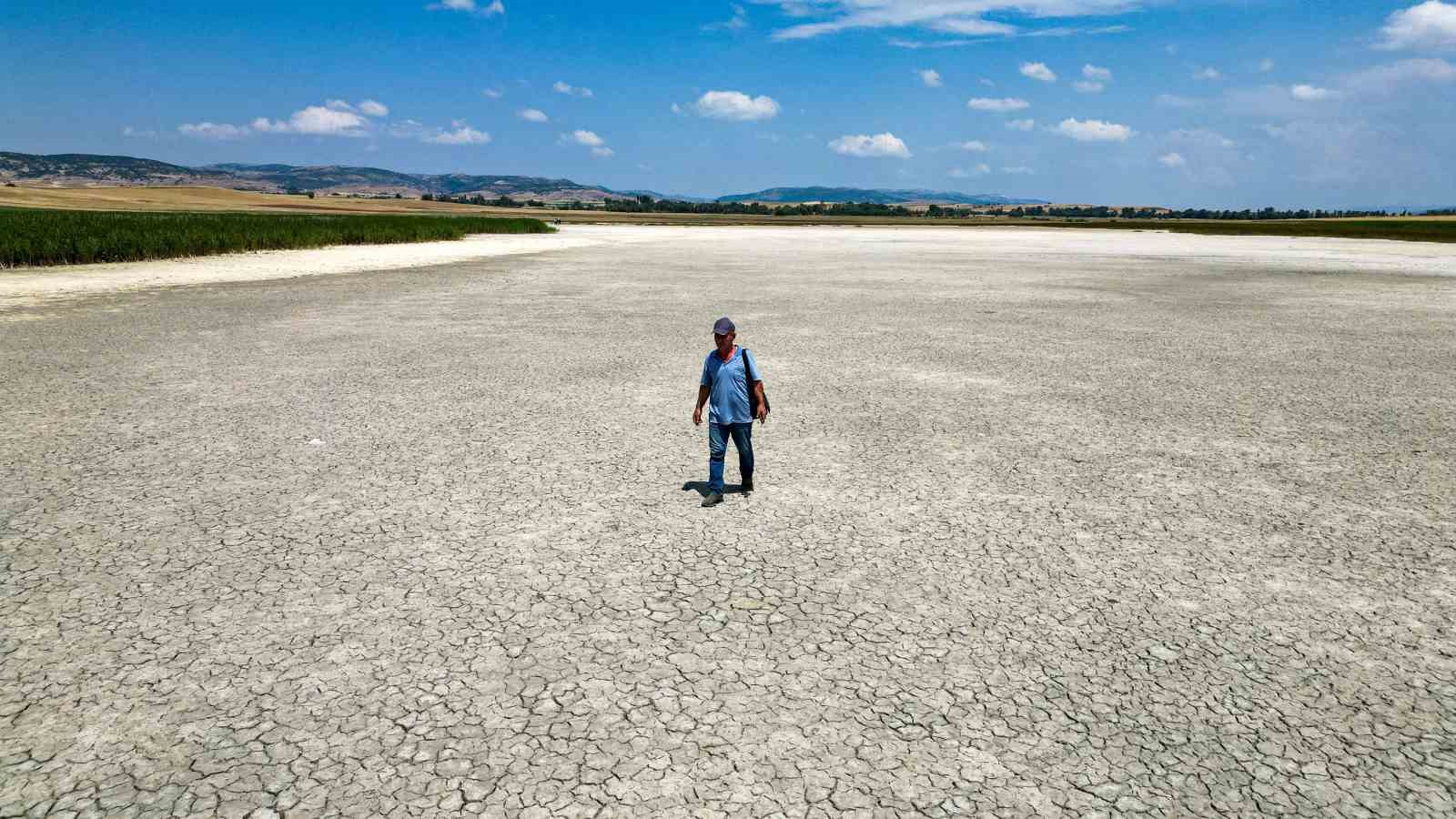 Bilinçsiz sulama, flamingoların durağı Kamış Gölü’nün kurumasına neden oldu
