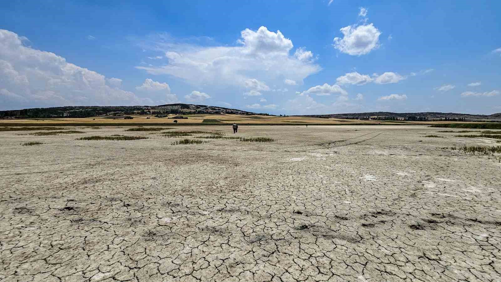 Bilinçsiz sulama, flamingoların durağı Kamış Gölü’nün kurumasına neden oldu
