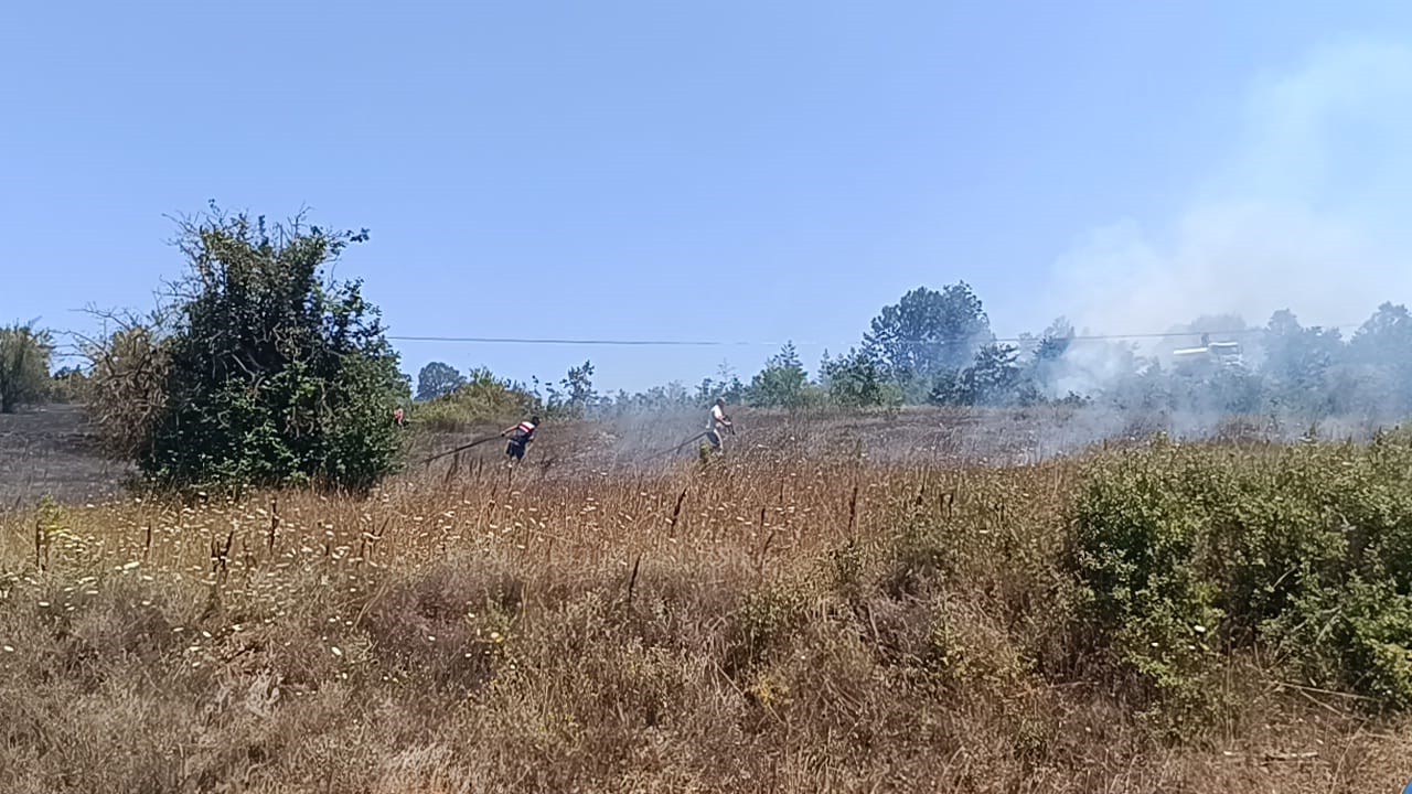 Bilecik’te çıkan ot yangınında 1 kişi hastanelik oldu
