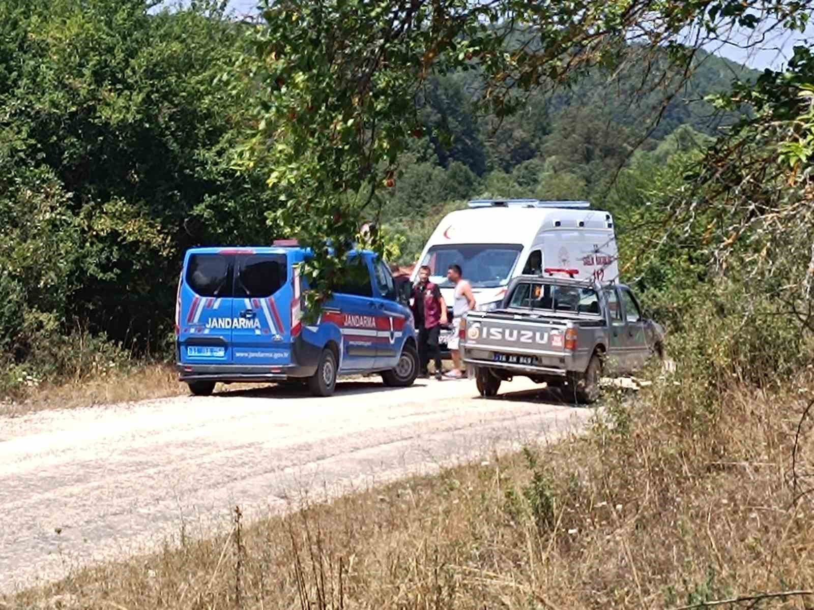 Bilecik’te çıkan ot yangınında 1 kişi hastanelik oldu
