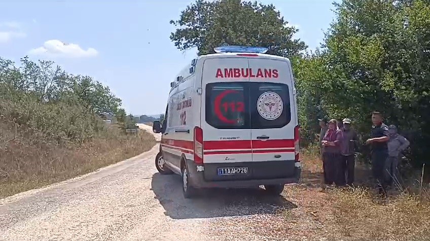 Bilecik’te çıkan ot yangınında 1 kişi hastanelik oldu
