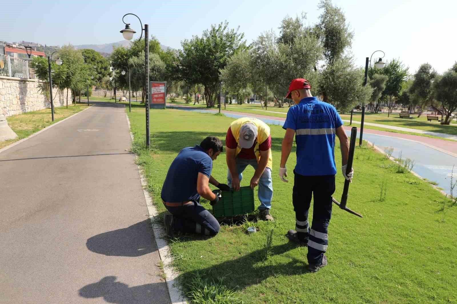 Efeler Belediyesi Sağlık İşleri Müdürlüğü ekipleri çalışmalarını sürdürüyor
