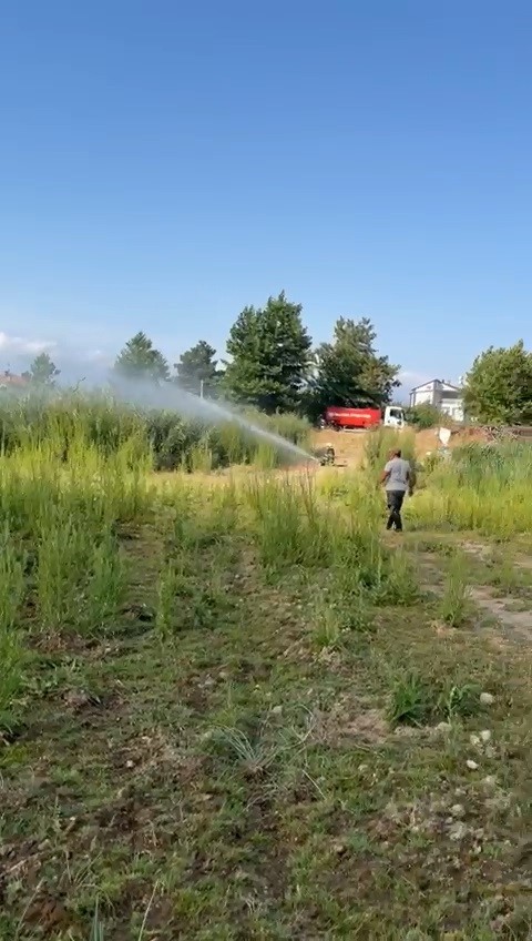 İznik Gölü’nde sazlık yangını
