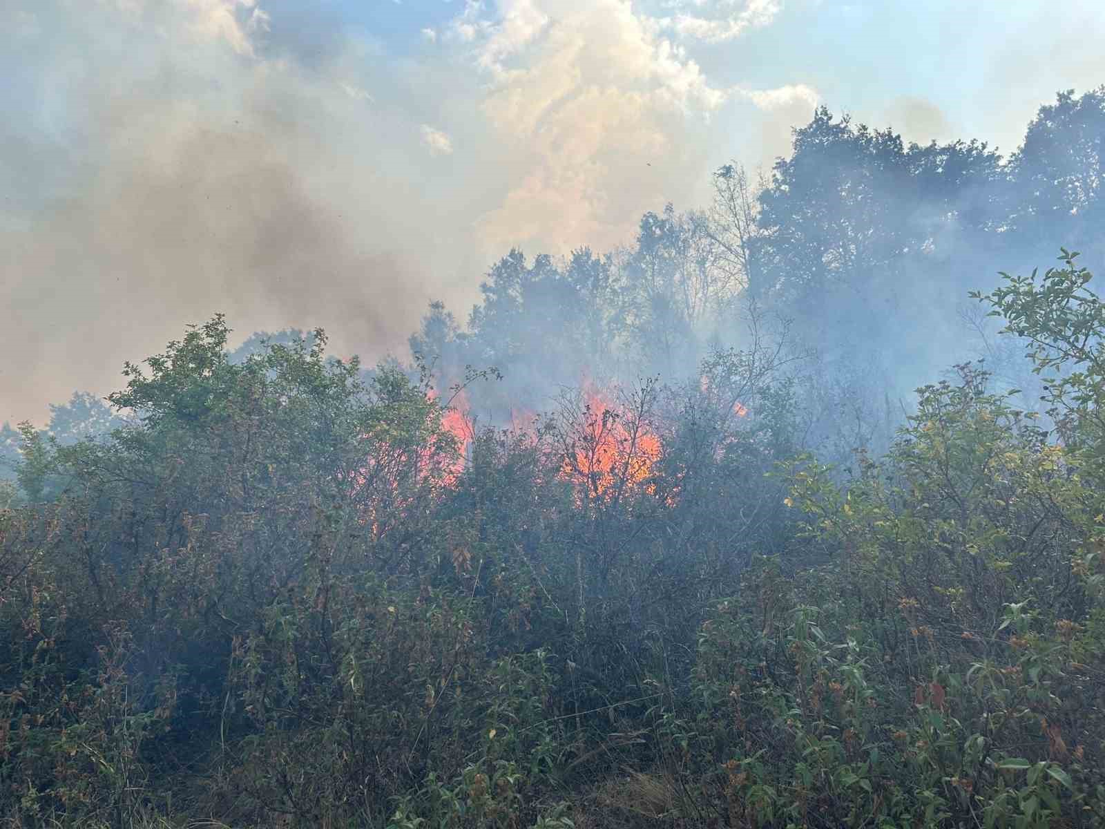 Afyonkarahisar’da dağlık alanda çıkan yangın söndürüldü
