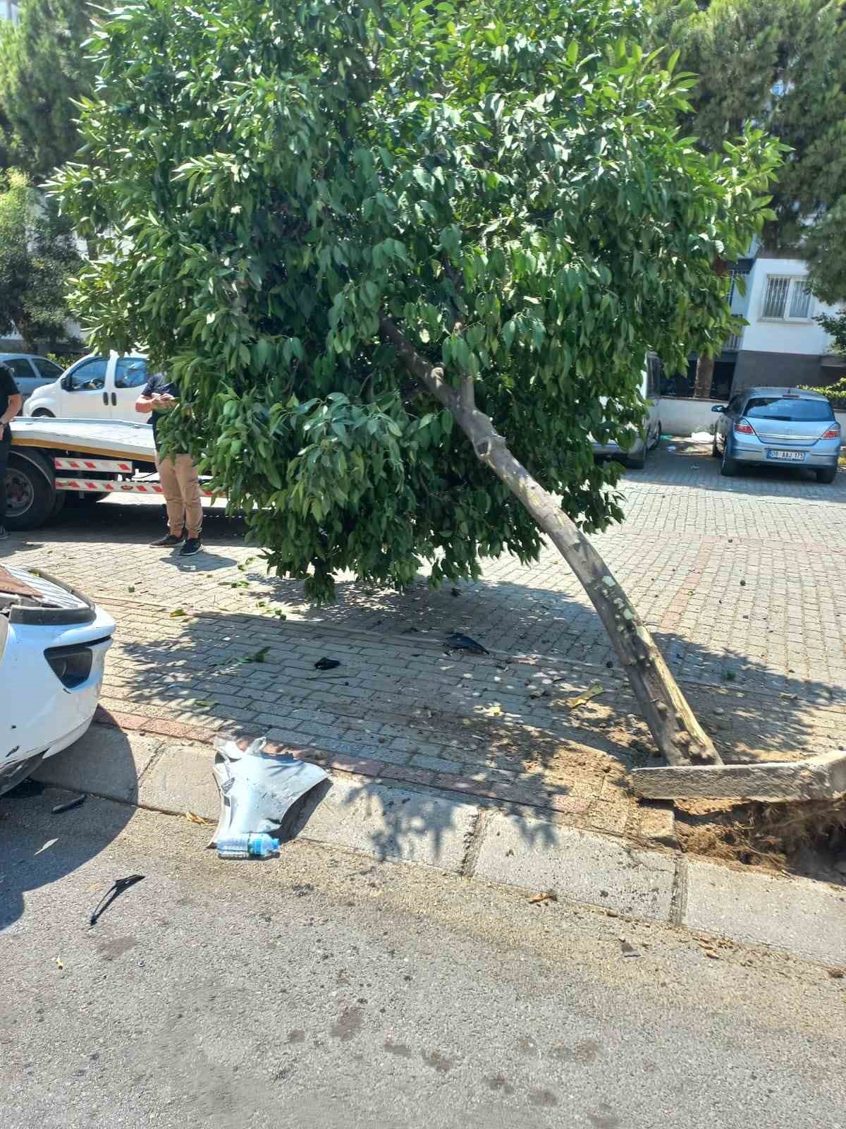 Ağaca çarpıp takla atan otomobil ters döndü: 2 yaralı
