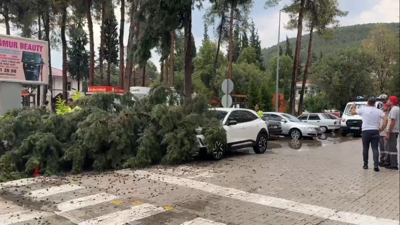 Burdur’da fırtınada kırılan ağaç aracın üzerine devrildi
