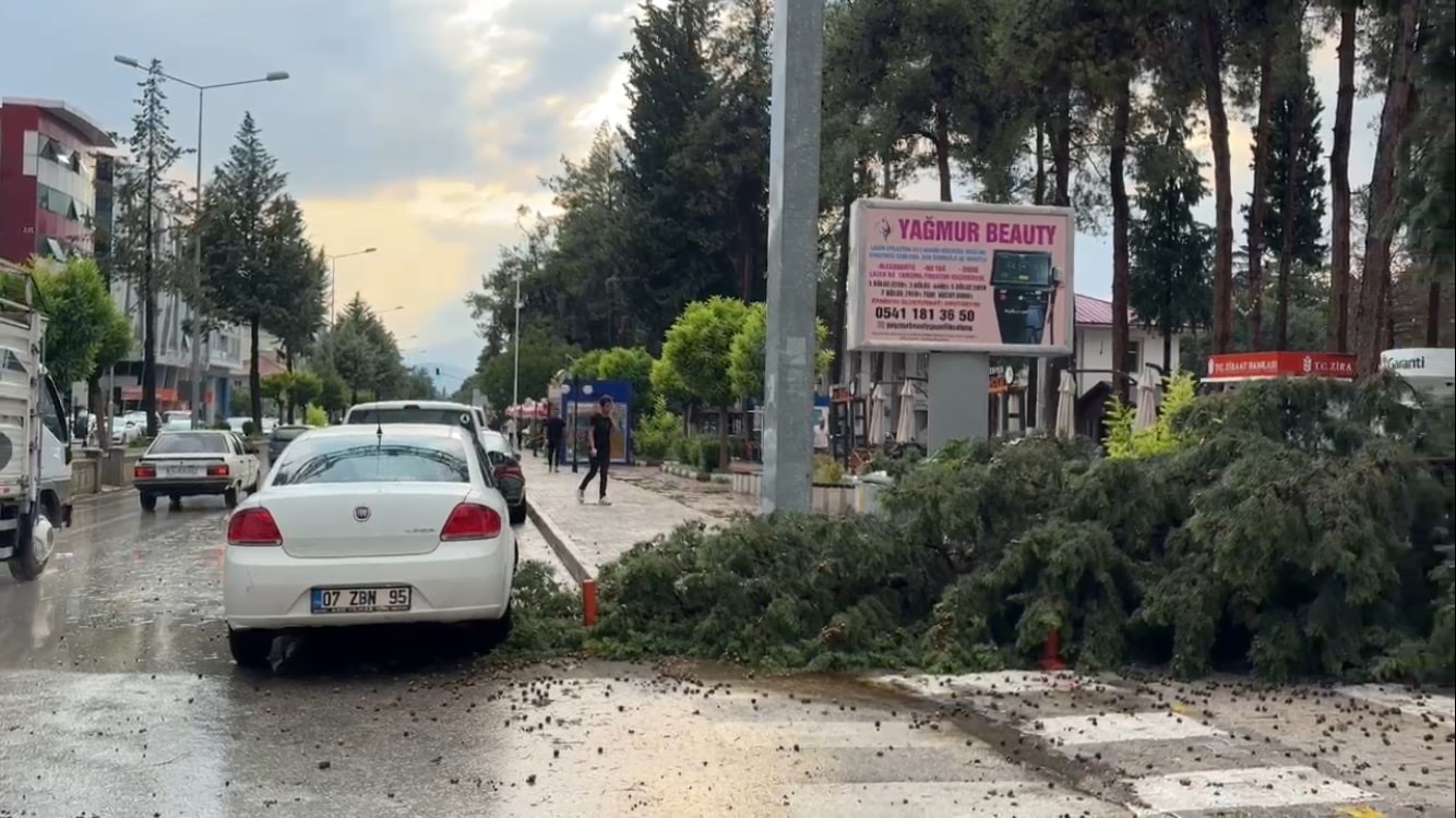 Burdur’da fırtınada kırılan ağaç aracın üzerine devrildi
