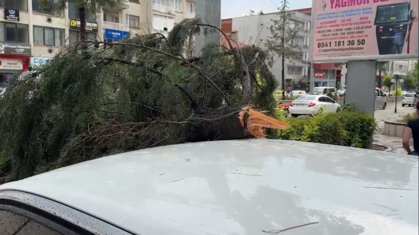 Burdur’da fırtınada kırılan ağaç aracın üzerine devrildi
