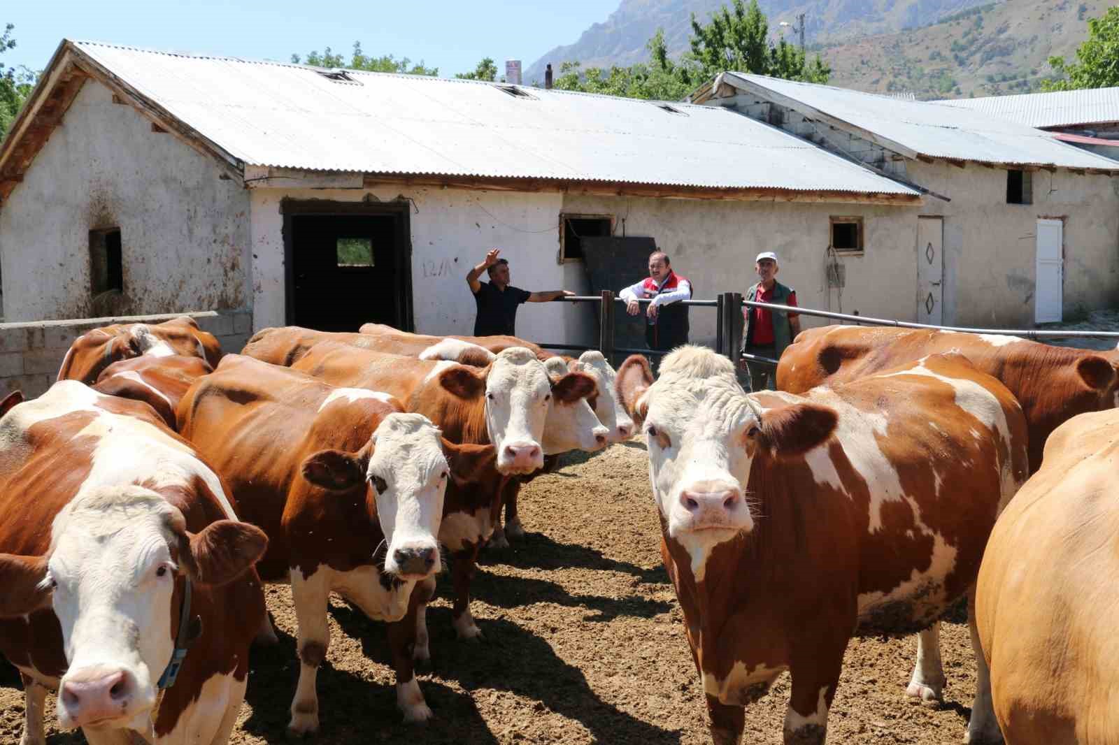 Erzincan Tarımdan küçük aile işletmelerine ziyaret
