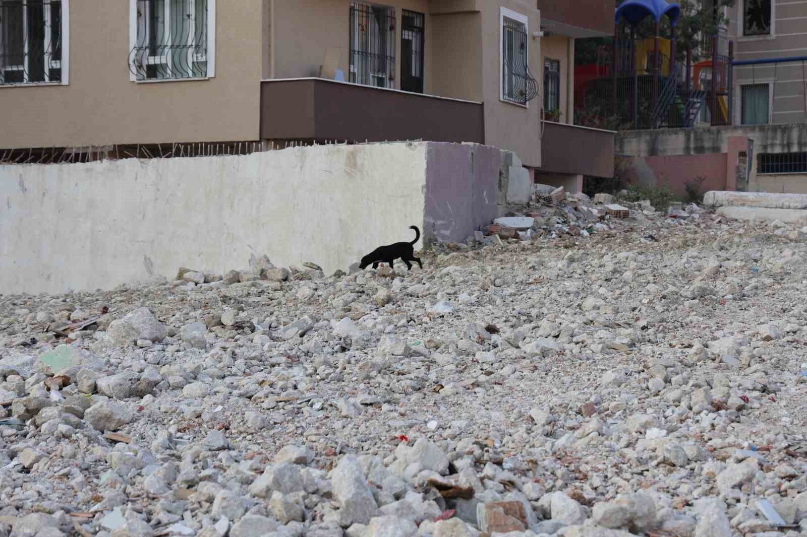 6 katlı bina iş makinesinin darbesiyle yerle bir oldu
