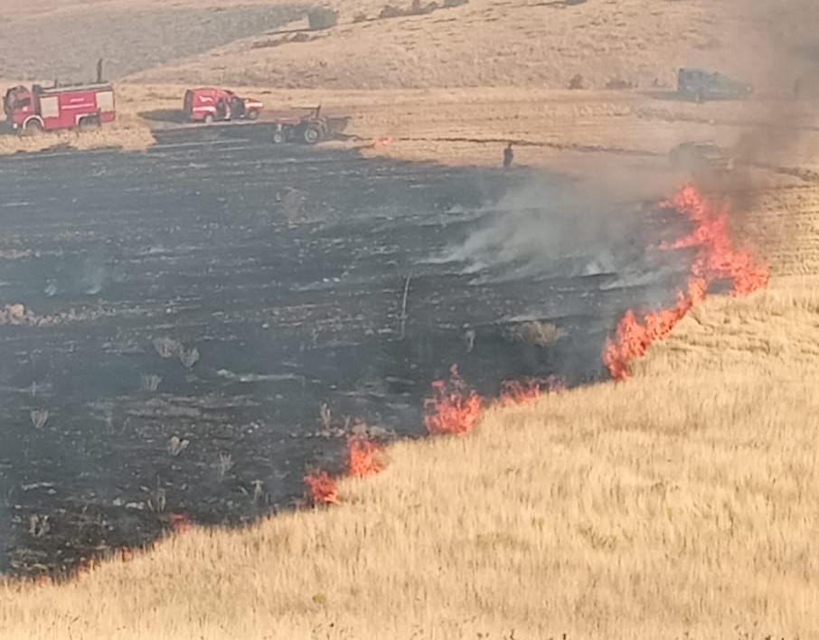 Malatya’da bir hektarlık alanda anız yangını
