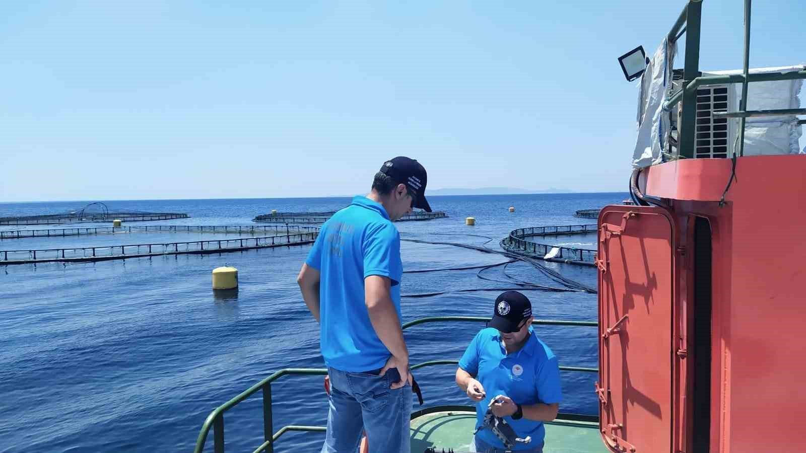 Söke’de balık çiftlikleri denetlendi
