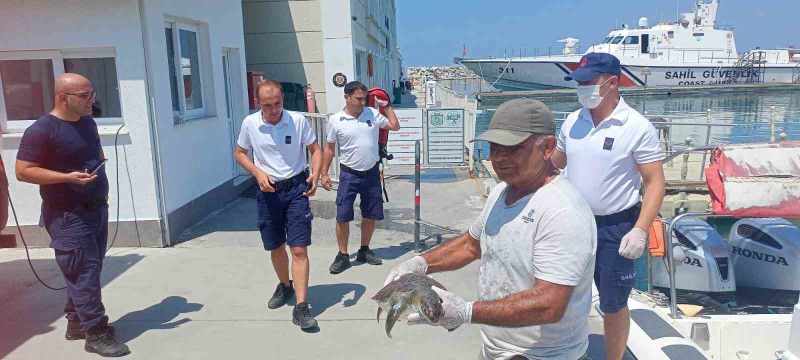 Kuşadası’nda 2 yeşil deniz kaplumbağası ölü bulundu
