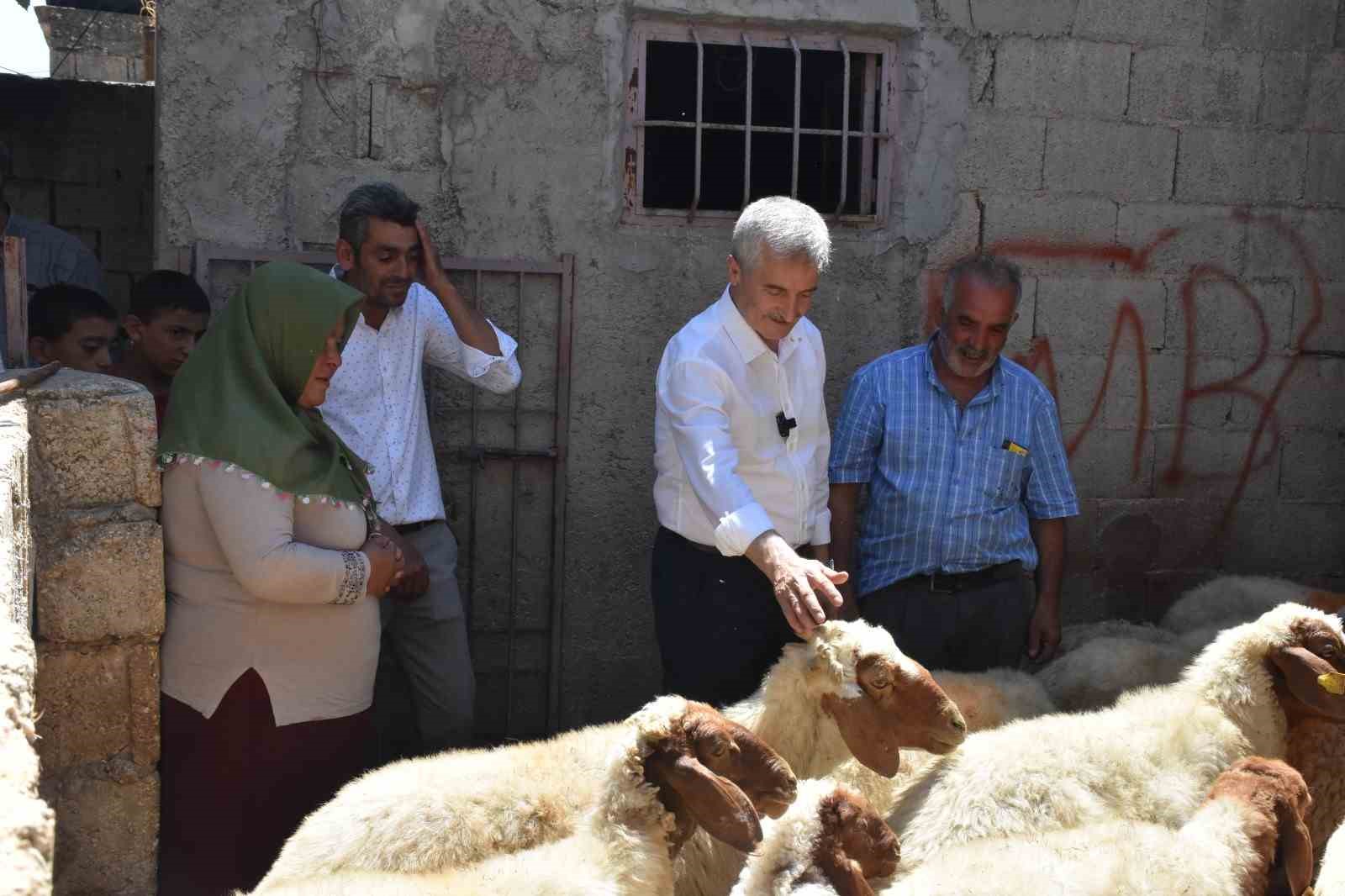 Belediyeden aldığı 16 koyunu 130’a çıkardı
