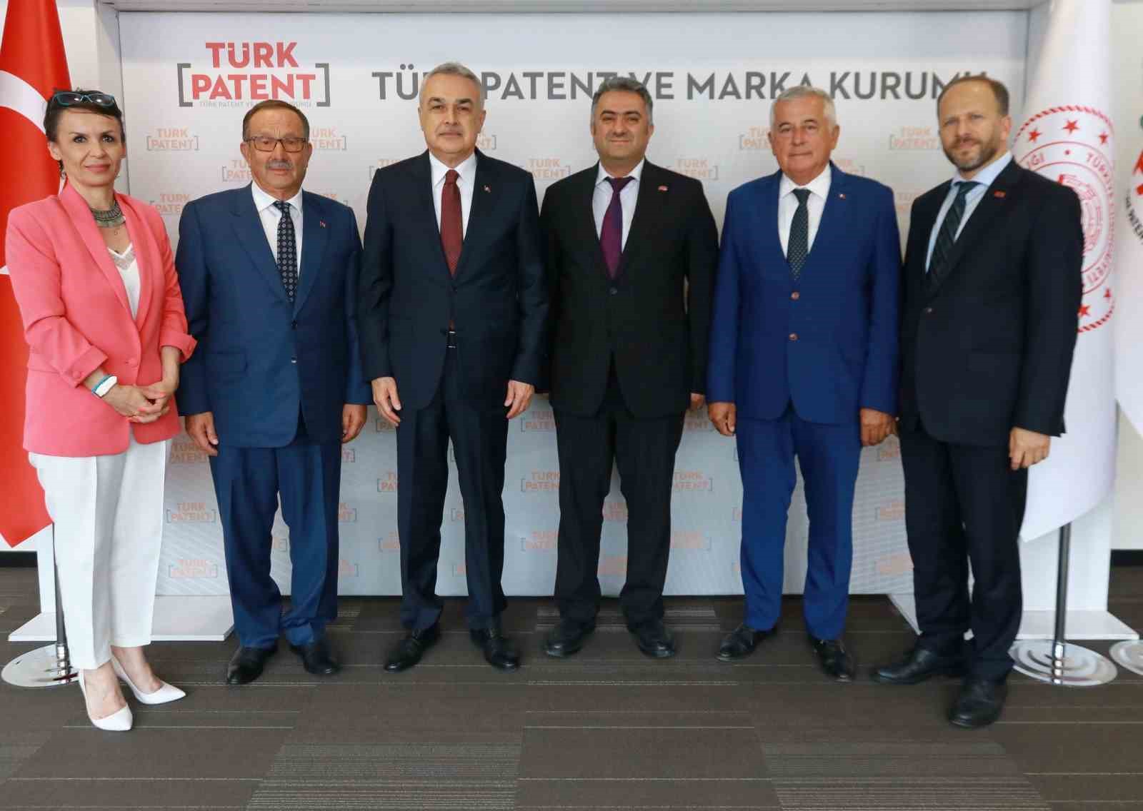 Aydın enginarı coğrafi işaret tesciline kavuşuyor
