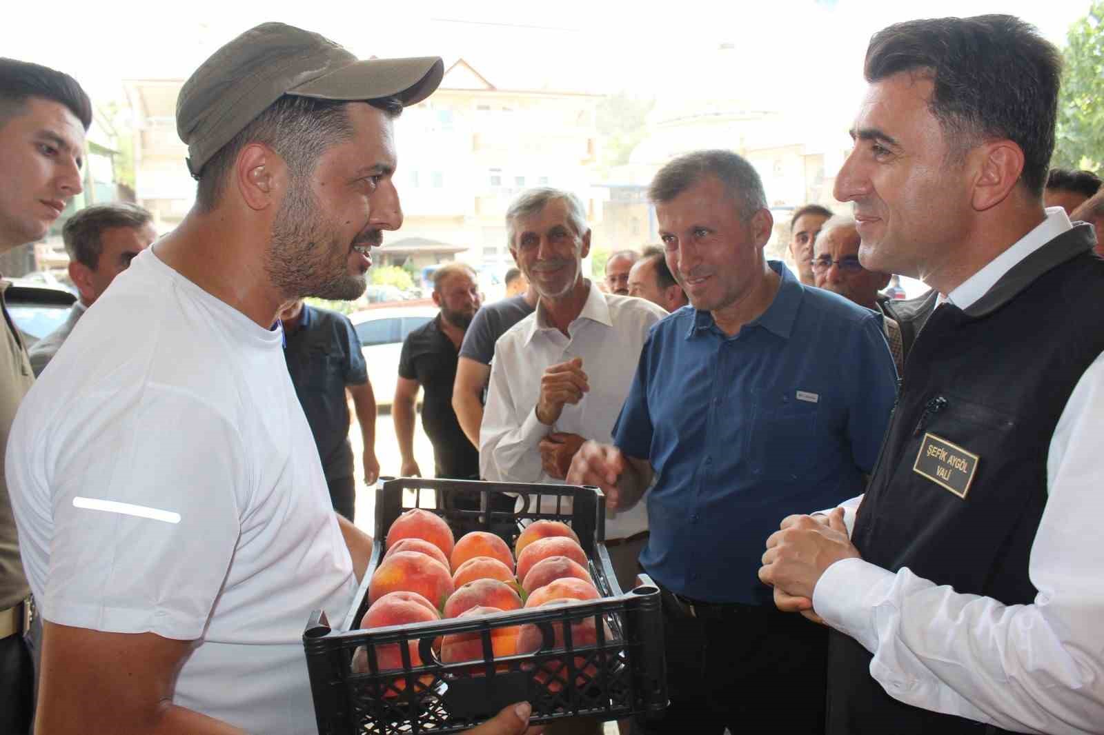 Bilecik’te hasat mesaisine başlayan şeftali üreticisinin yüzü gülüyor
