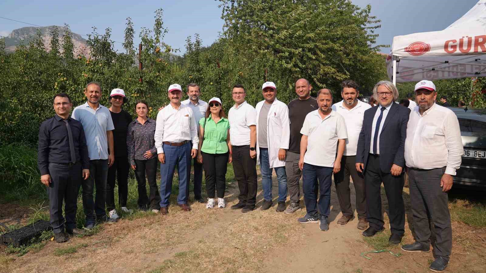 Gürsu armudunu faydalı böcekler koruyor
