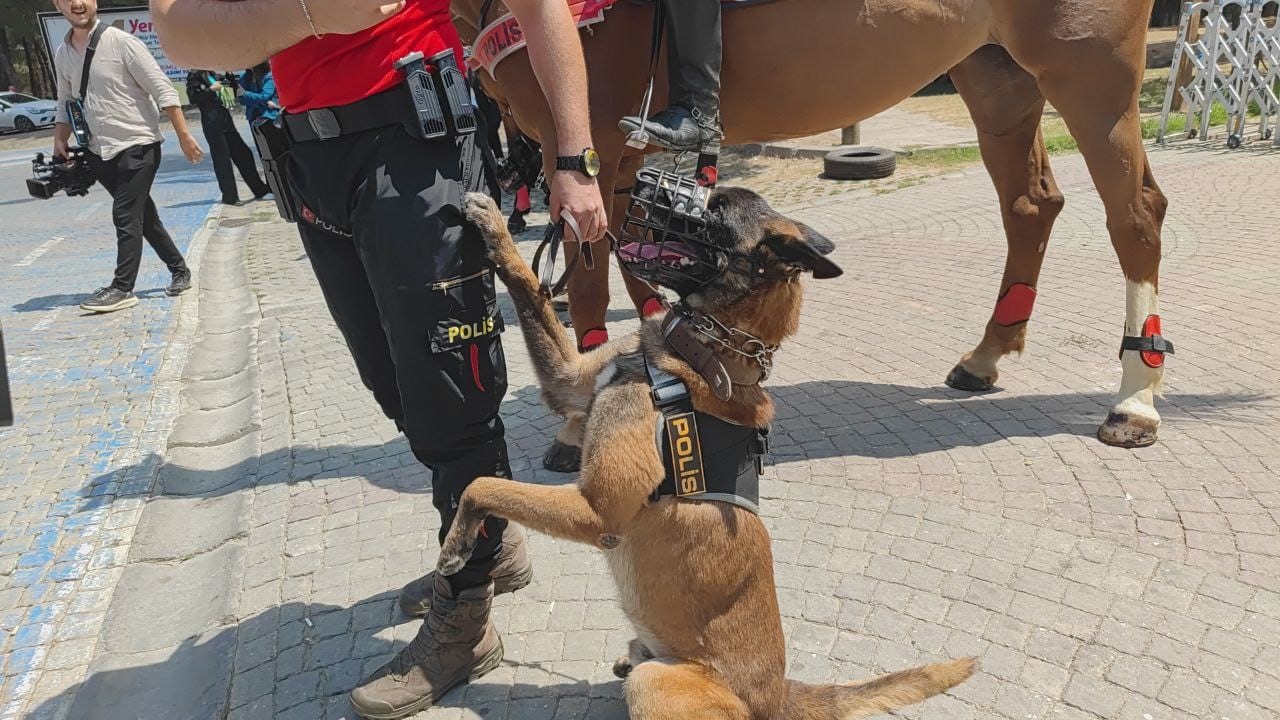 Atlı polisler orman yangınlarına karşı vatandaşları uyardı
