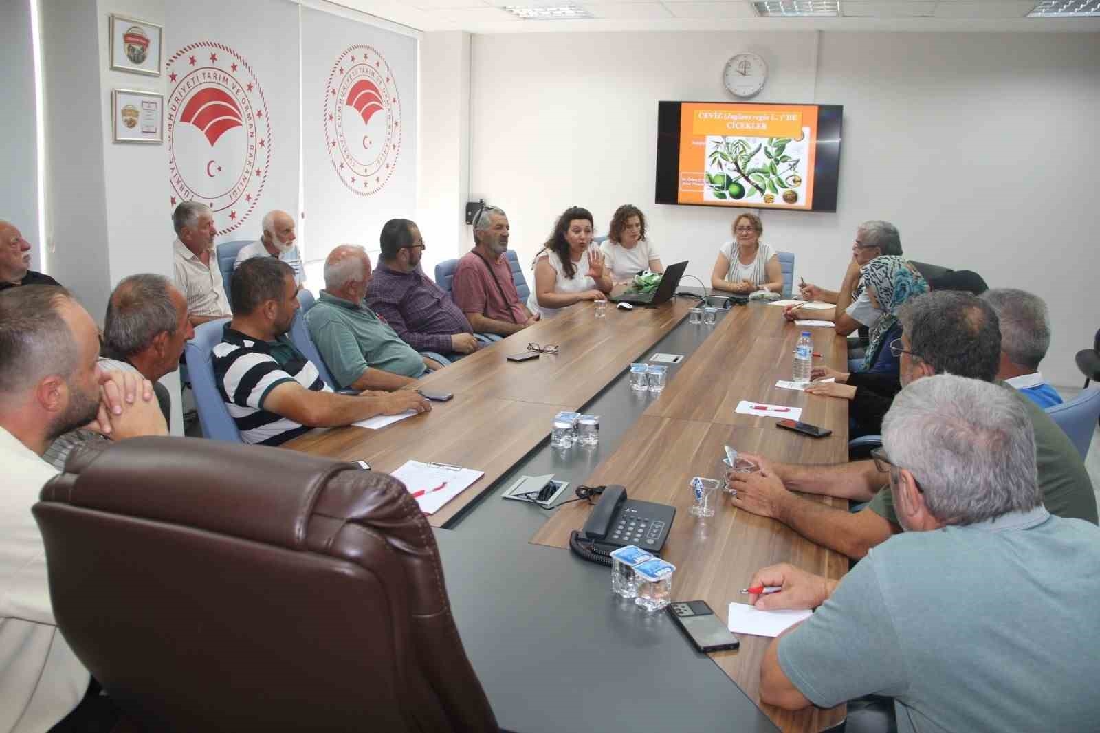 Yalova’da ceviz yetiştiricilerine eğitim
