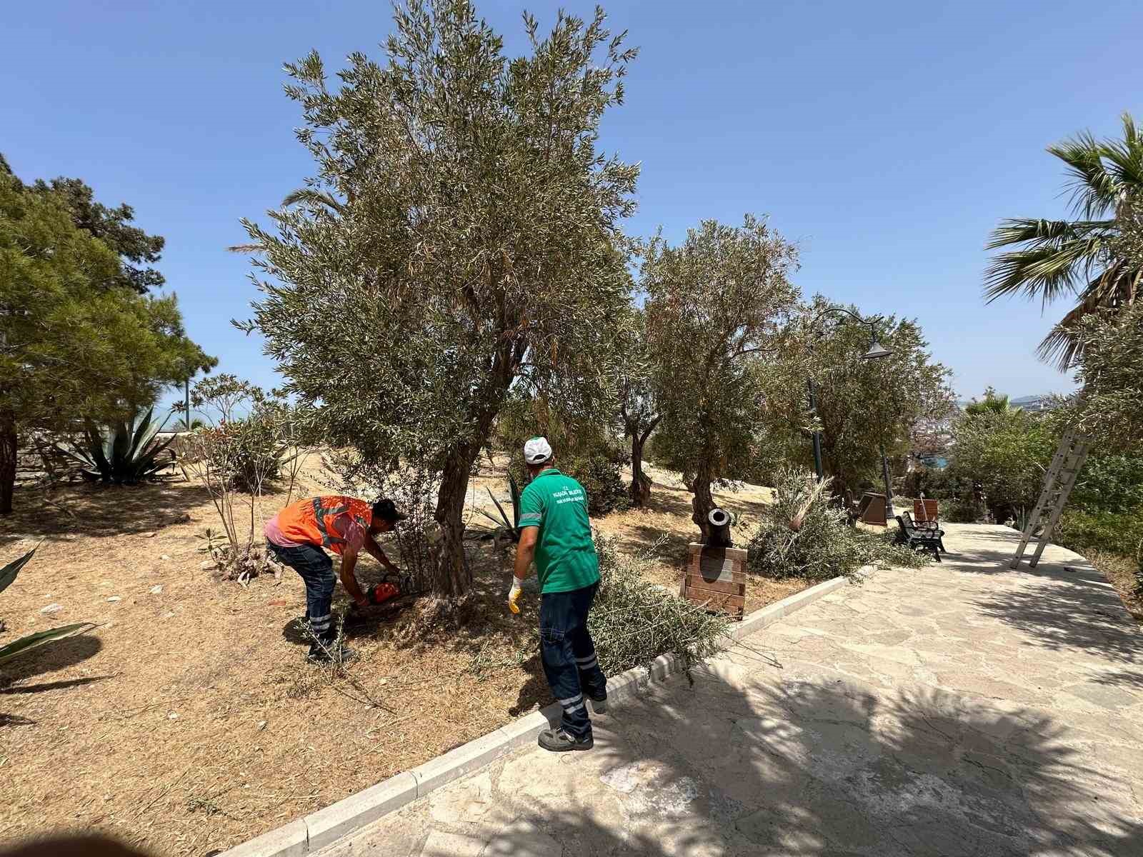 Güvercinada tarihi kimliği ile buluşuyor
