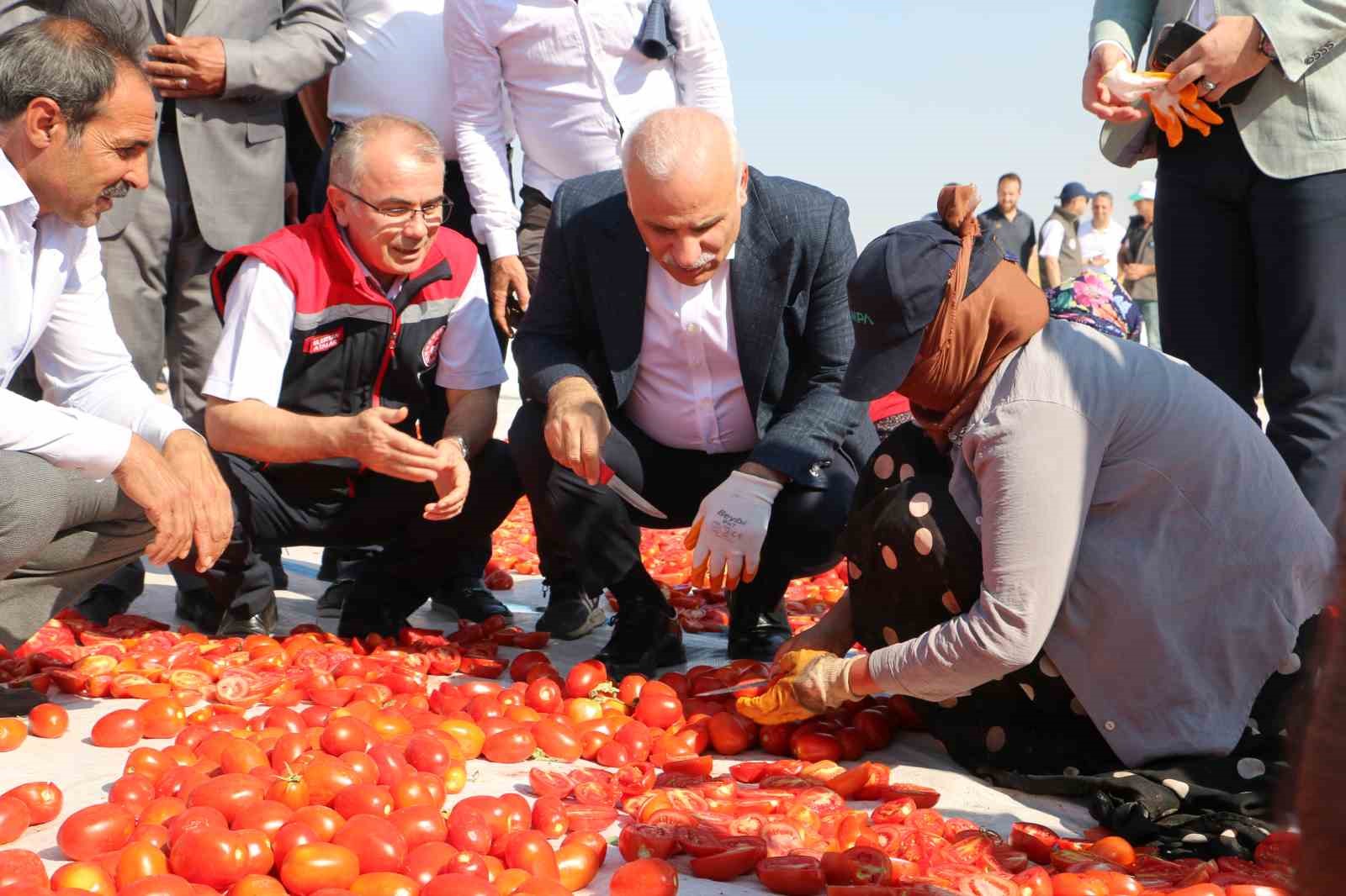 Diyarbakır’da kavurucu sıcakta işçilerin kurutmalık domates mesaisi başladı
