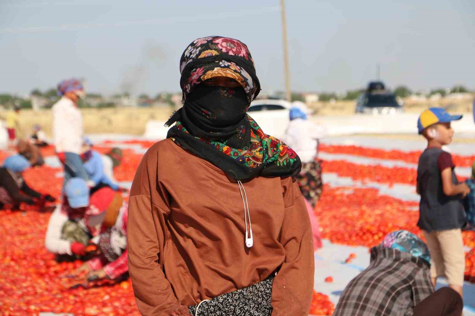 Diyarbakır’da kavurucu sıcakta işçilerin kurutmalık domates mesaisi başladı
