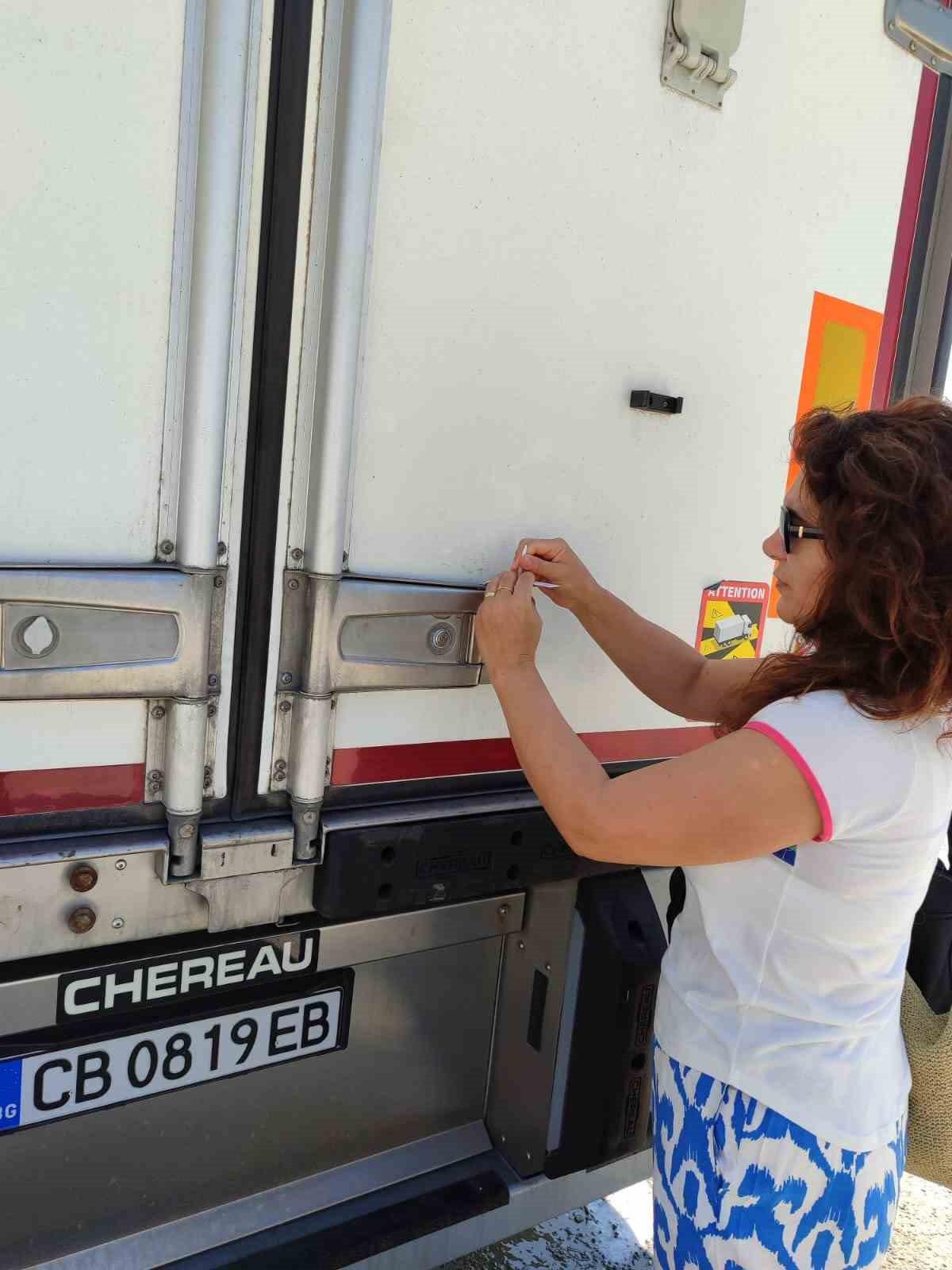 Söke’den Rusya’ya ihraç edilecek balıklar için sağlık kontrolü
