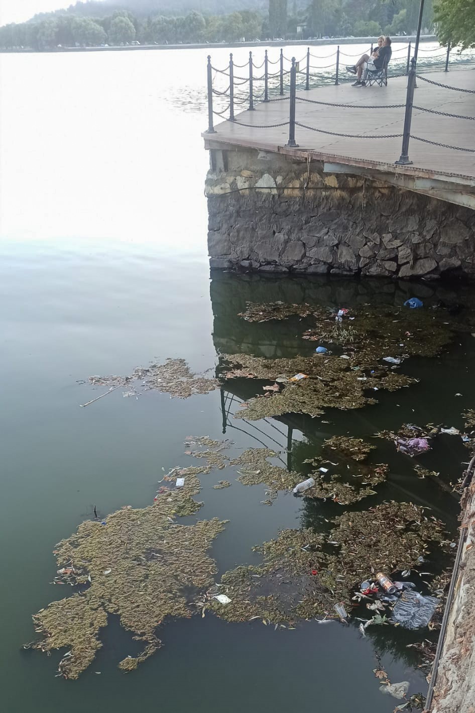 İzmir’in Gölcük Gölü’nde balık ölümleri
