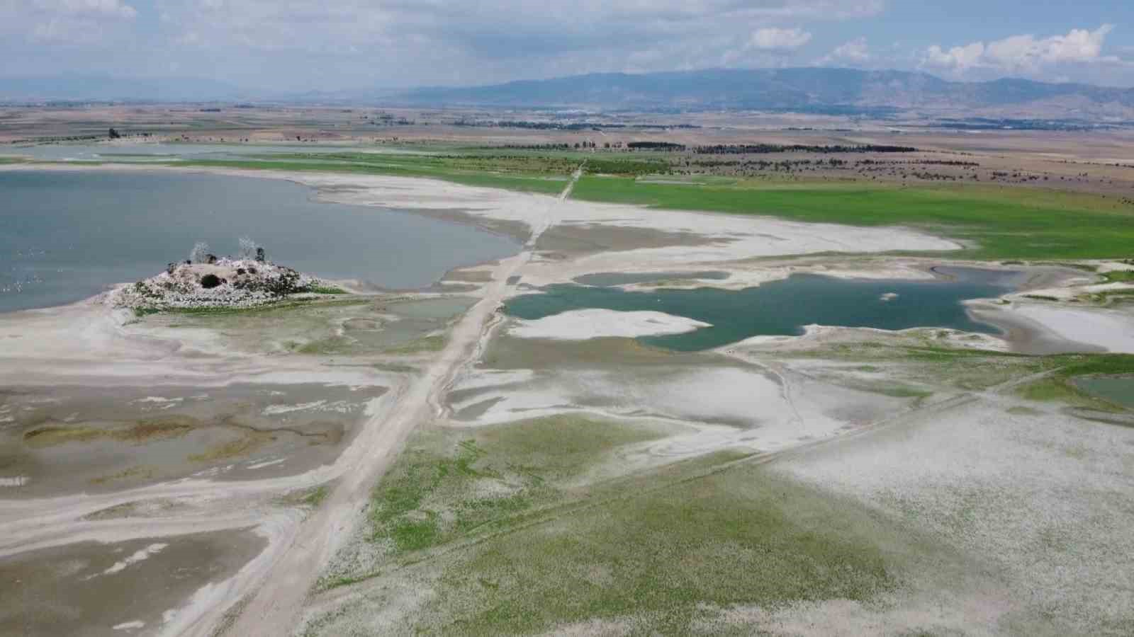 Amasya’daki Yedikır Baraj Gölü’nde kuraklıktan sular çekildi, balık ölümleri görülmeye başladı
