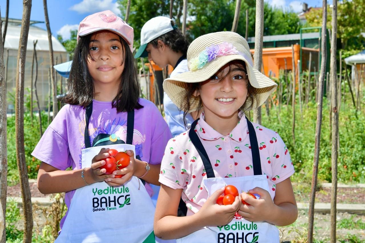 Ayvansaray ve Yedikule Bahçelerinde çocuklar, meyve ve sebze hasadına katıldı
