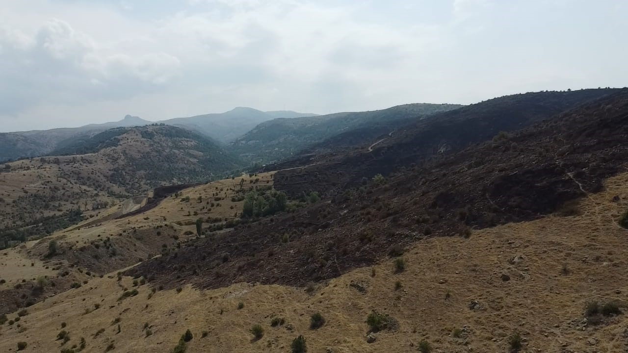 Dağlık alanda çıkan yangında 75 hektar alan zarar gördü
