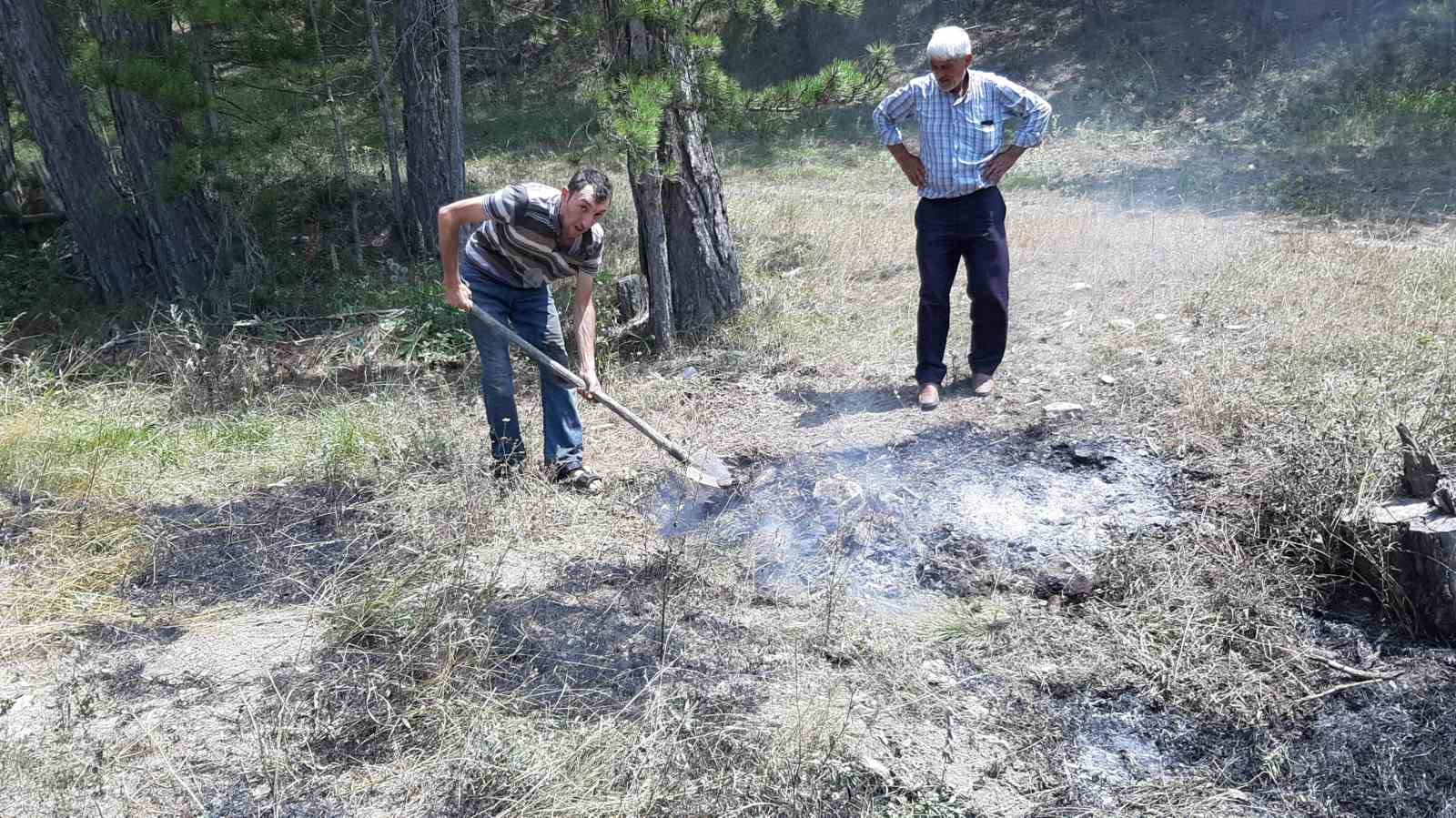 Yol kenarına atılan sigara yangına neden oldu
