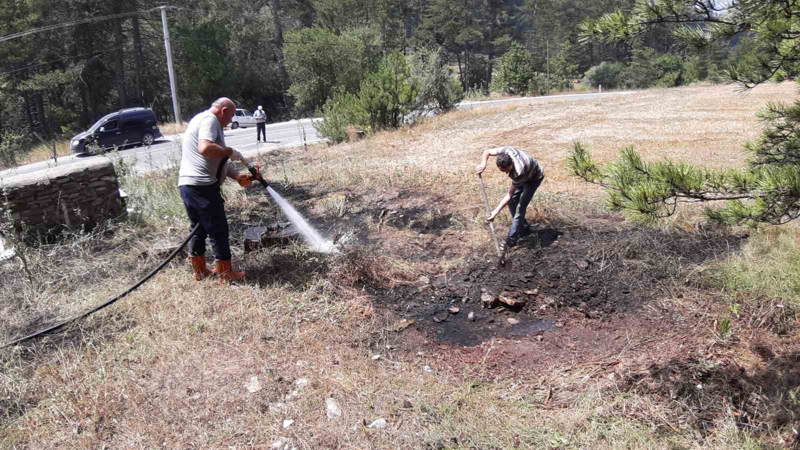 Yol kenarına atılan sigara yangına neden oldu
