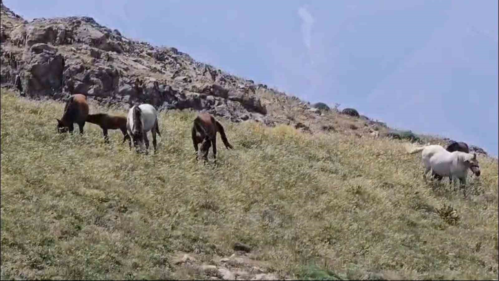 Zoveser doğasıyla ziyaretçilerini büyülüyor
