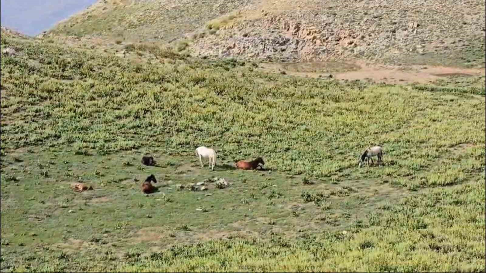 Zoveser doğasıyla ziyaretçilerini büyülüyor
