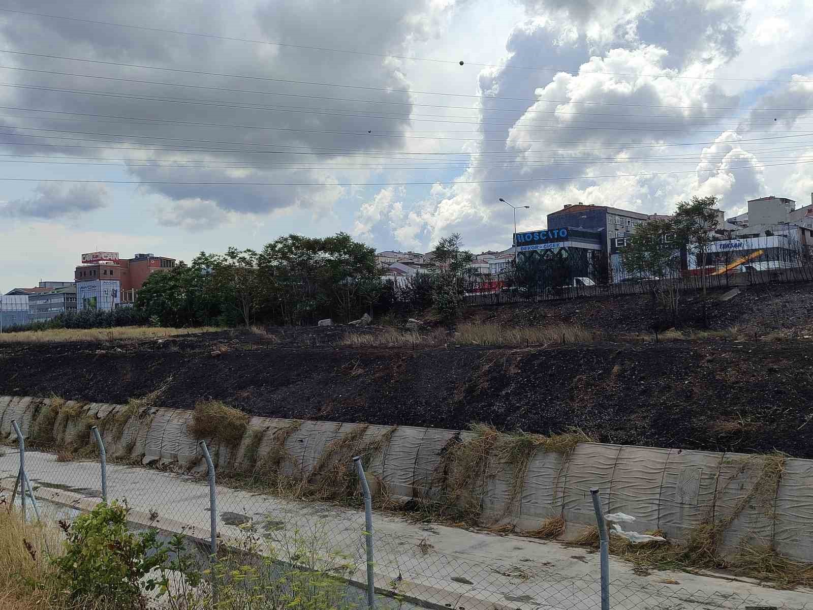 Basın Ekspres Yolu’nda 2 genç yol kenarında bulunan otları ve ağaçları yakıp kaçtı
