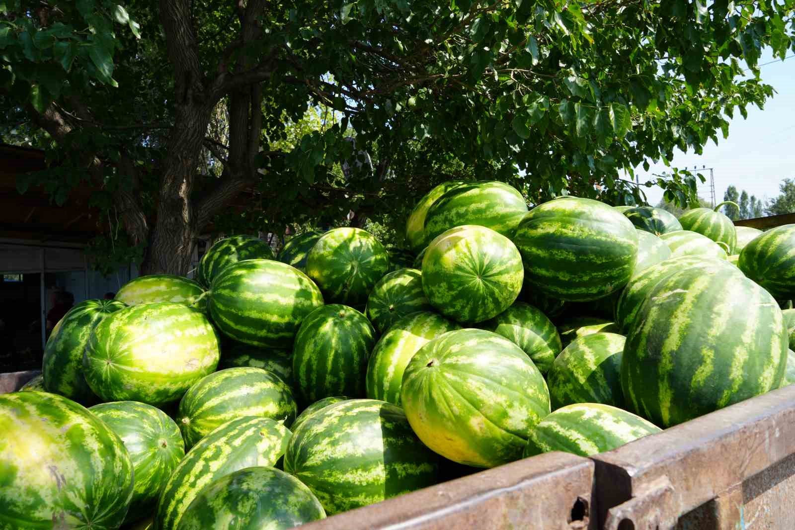 Doğu’nun Çukurova’sından çevre illere sebze ve meyve satılıyor
