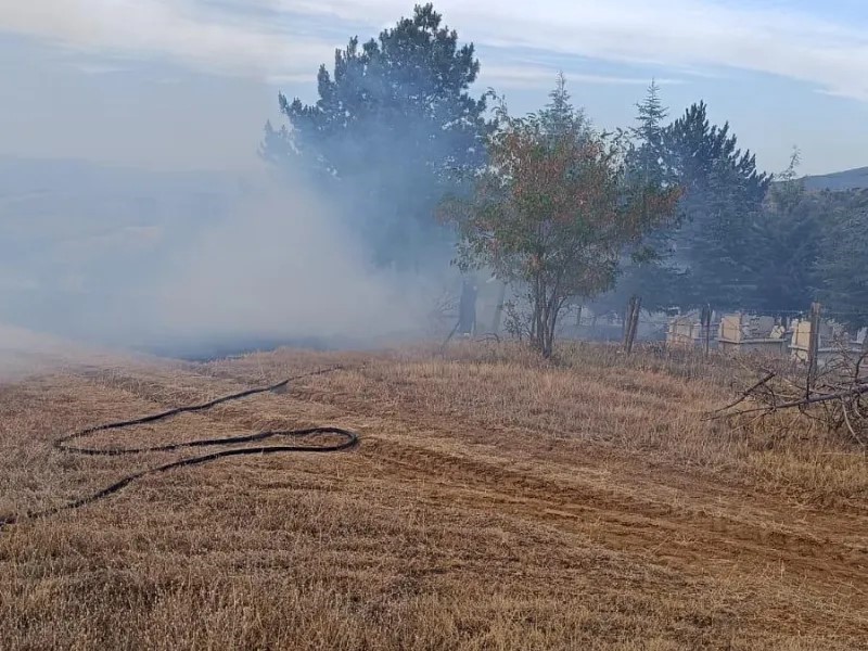 Kastamonu’da mezarlıkta çıkan yangın ormana sıçramadan söndürüldü
