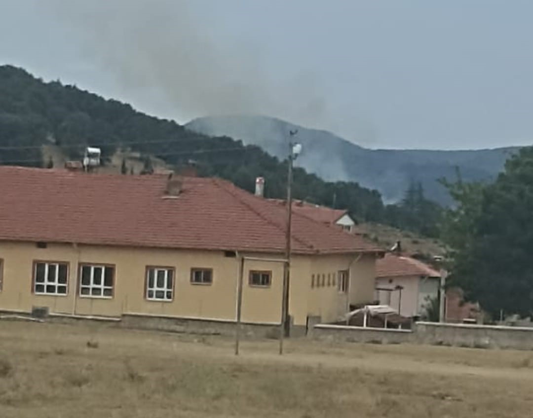 Kütahya’da arazi yangını
