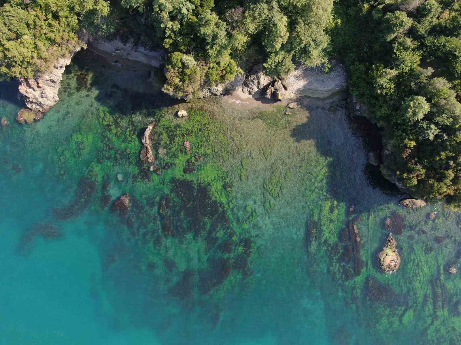 Burası ne Ege ne Akdeniz burası Karadeniz
