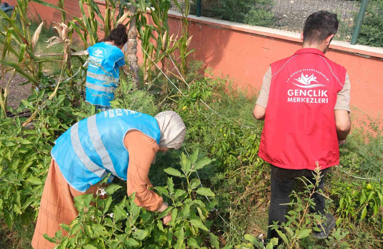 Adana Gençlik Merkezi üretiyor, çocuklar afiyetle yiyor
