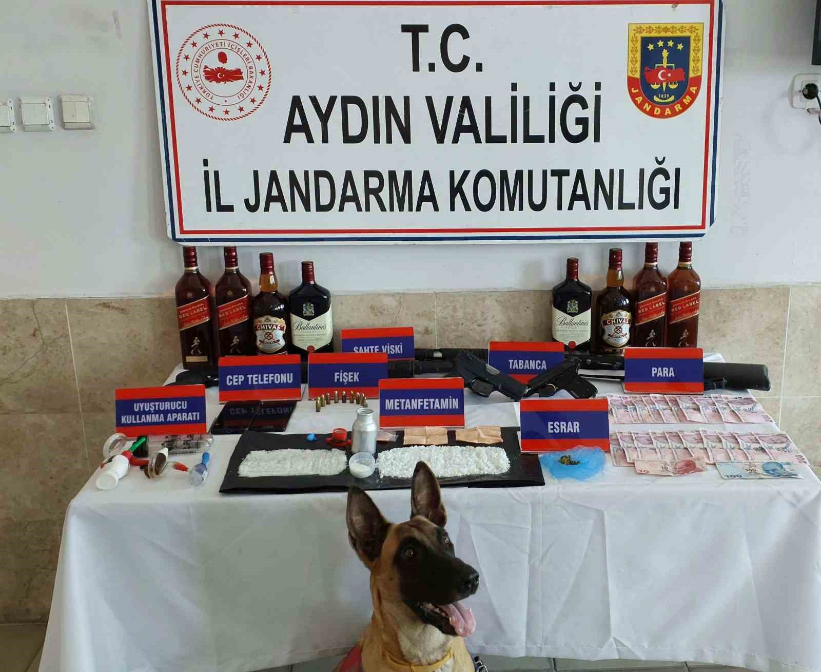 Nazilli’de uyuşturucu baskını: 1 gözaltı
