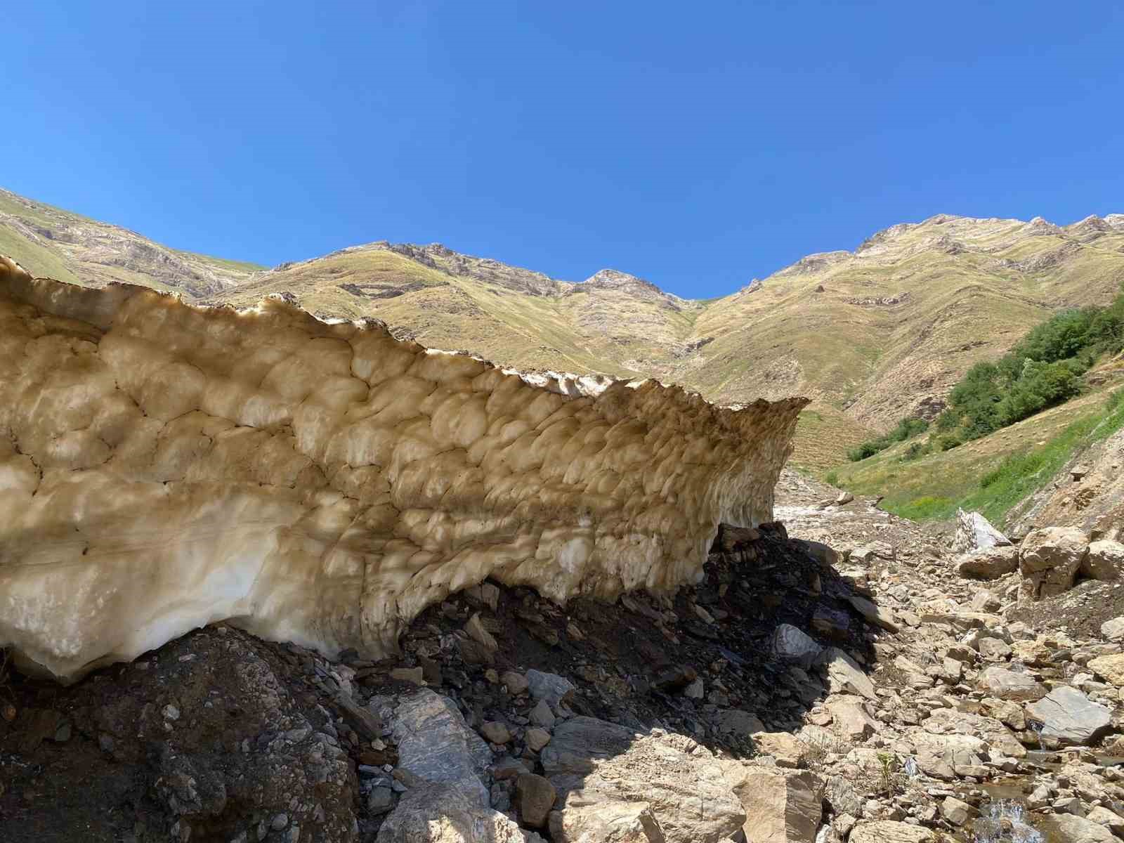 Van’da Temmuz sonunda karla mücadele
