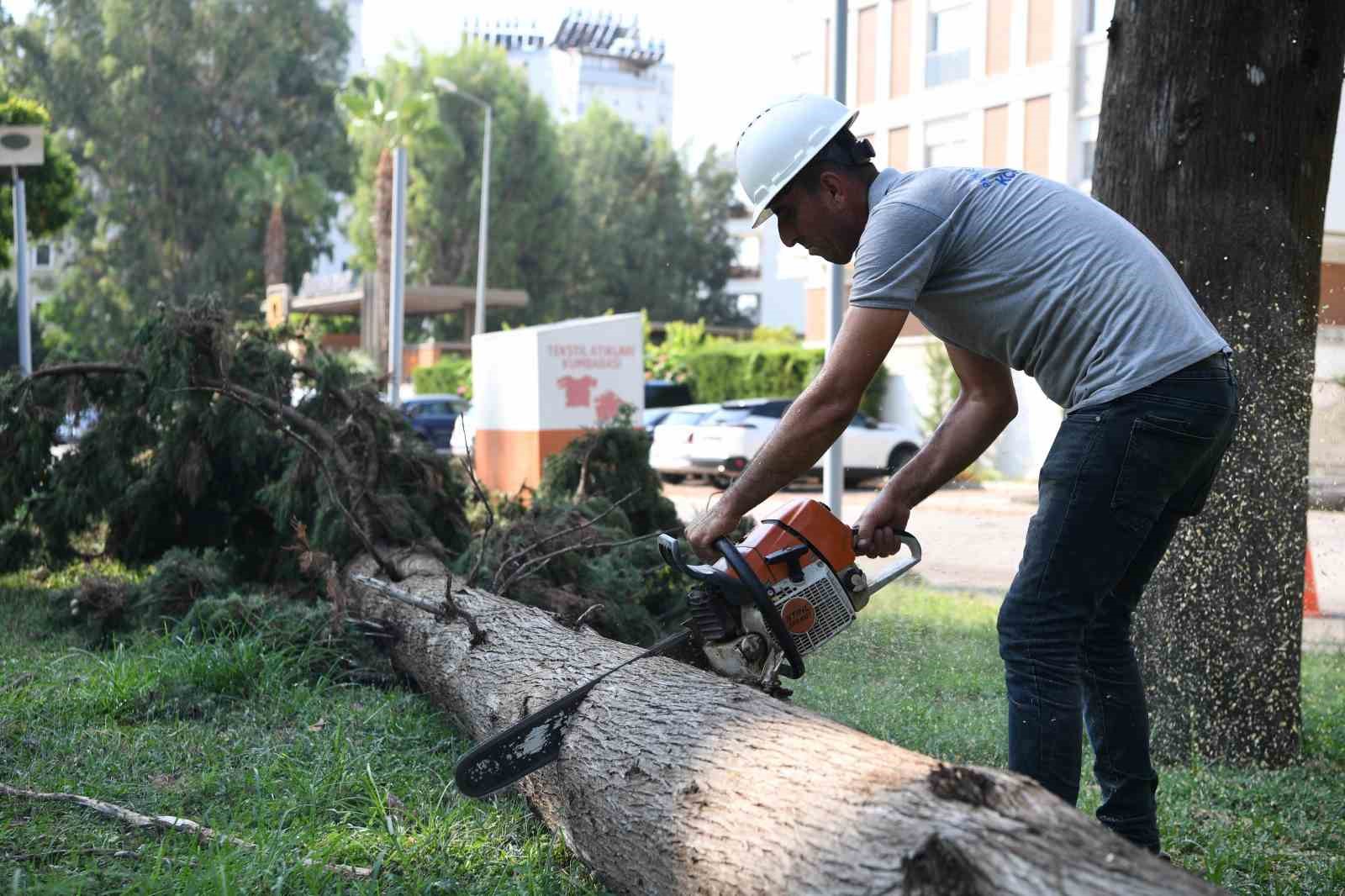 Antalya’da fırtına sonrası gece boyunca ’devrilen ağaç’ mesaisi
