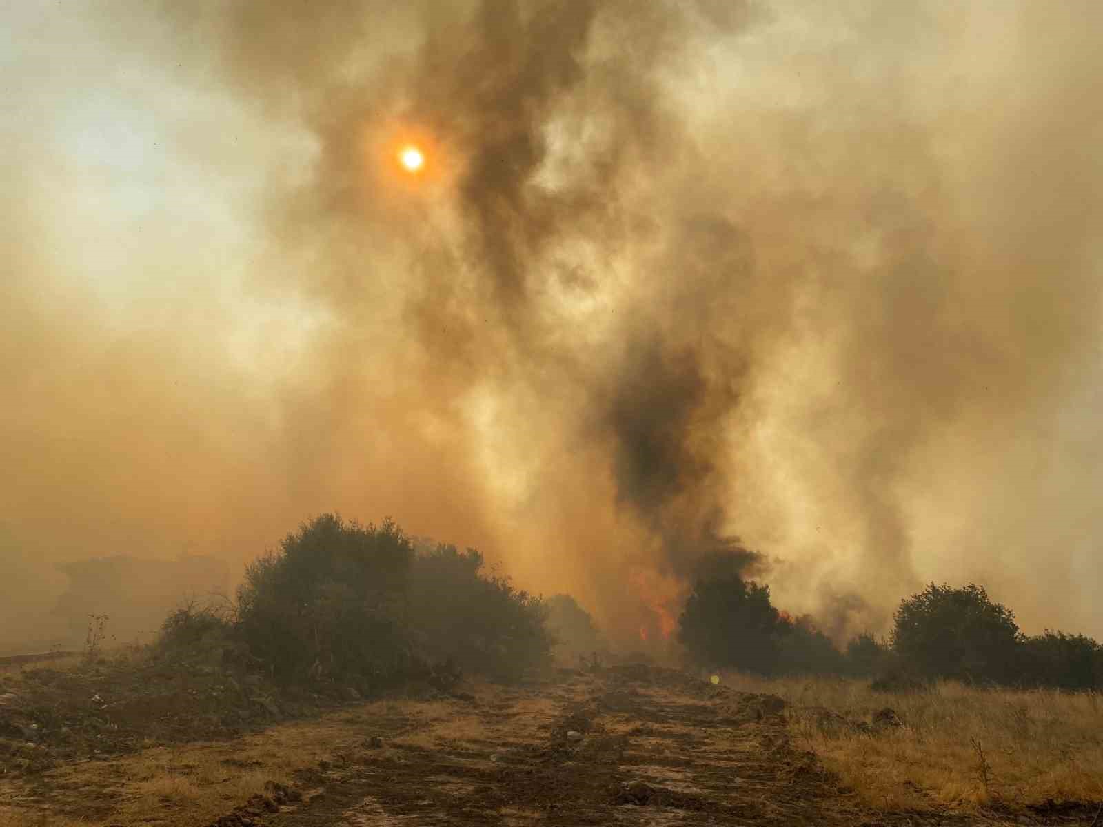 Dikili’deki orman yangınına müdahale 4 saattir sürüyor
