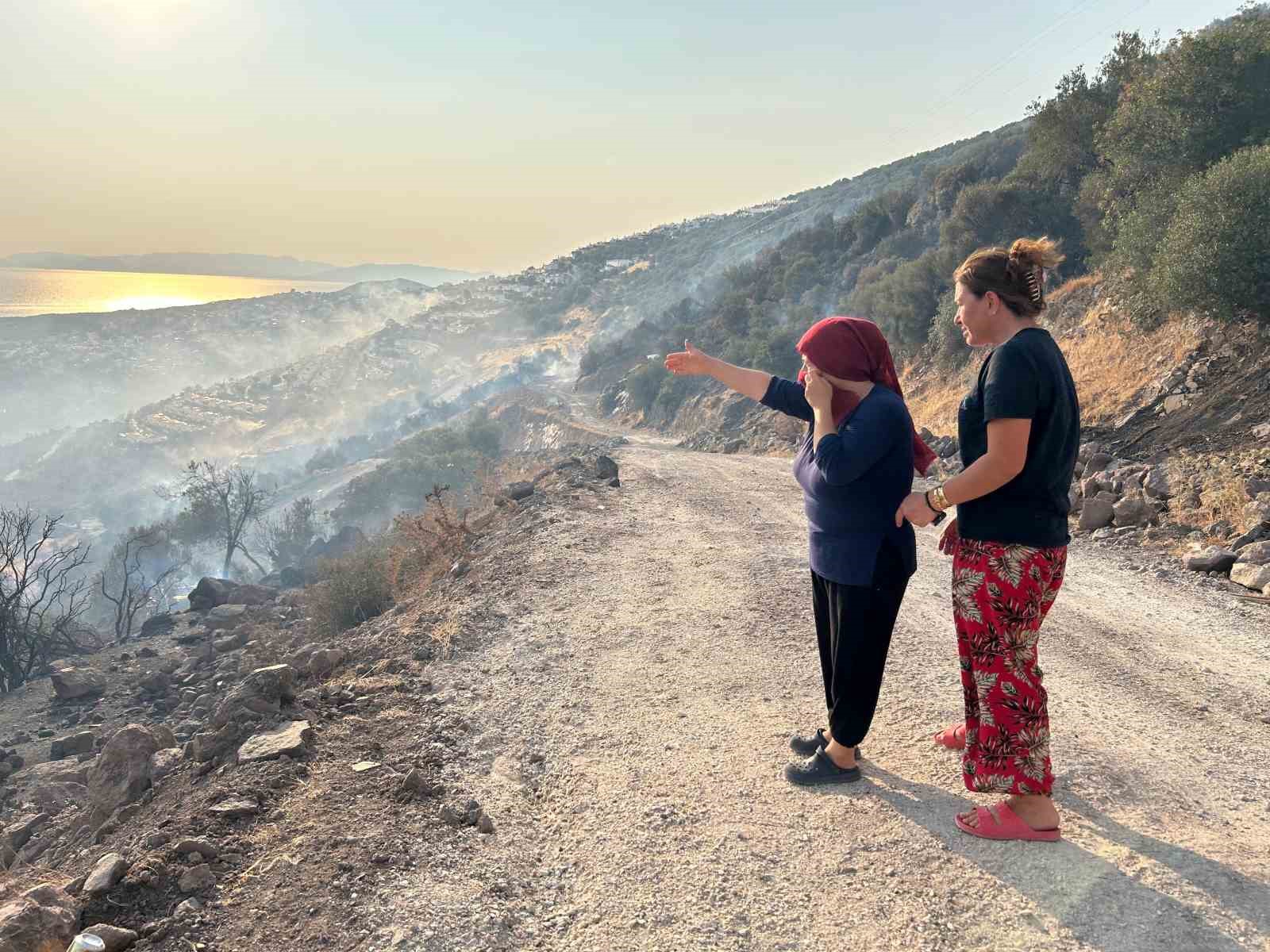 İzmir’deki yangında bir bağ evi kül oldu
