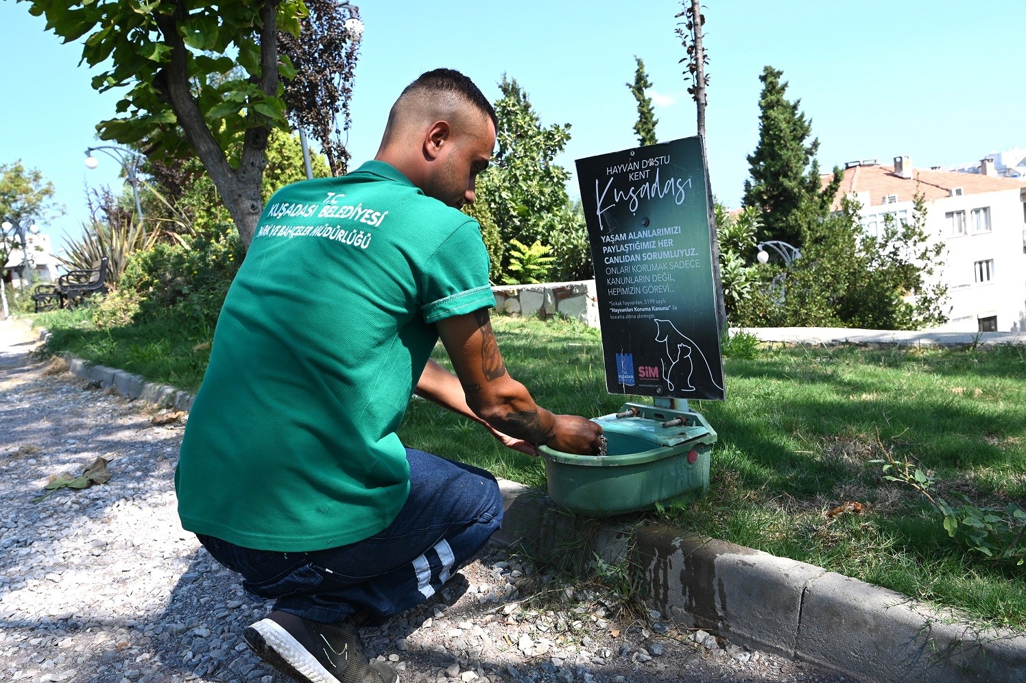 Kuşadası Belediyesi mevsim normalleri üzerinde seyrden sıcaklar nedeniyle sokak hayvanları için sulukların sayısını arttırdı
